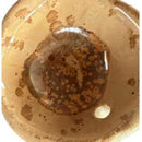 Esmalte Cerâmica OX 8004