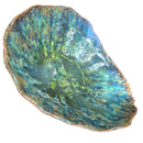 Esmalte Cerâmica - Lithos - Reativo