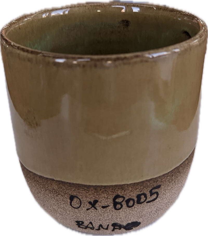 Ox 8005