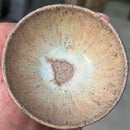 OX 8014 ( SOL DE OUTONO ) - OxidProdutos