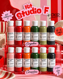 KIT STUDIO F + OXID – ENGOBES + TINTAS CORANTES | 12 CORES
