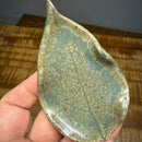 Ox 8101 - OxidProdutos